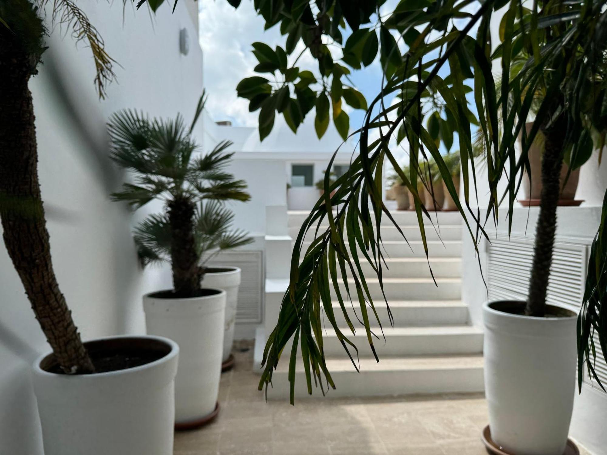 Villa Hafa 丹吉尔 外观 照片