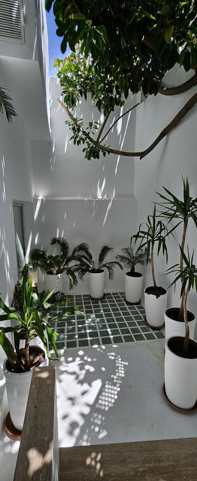 Villa Hafa 丹吉尔 外观 照片